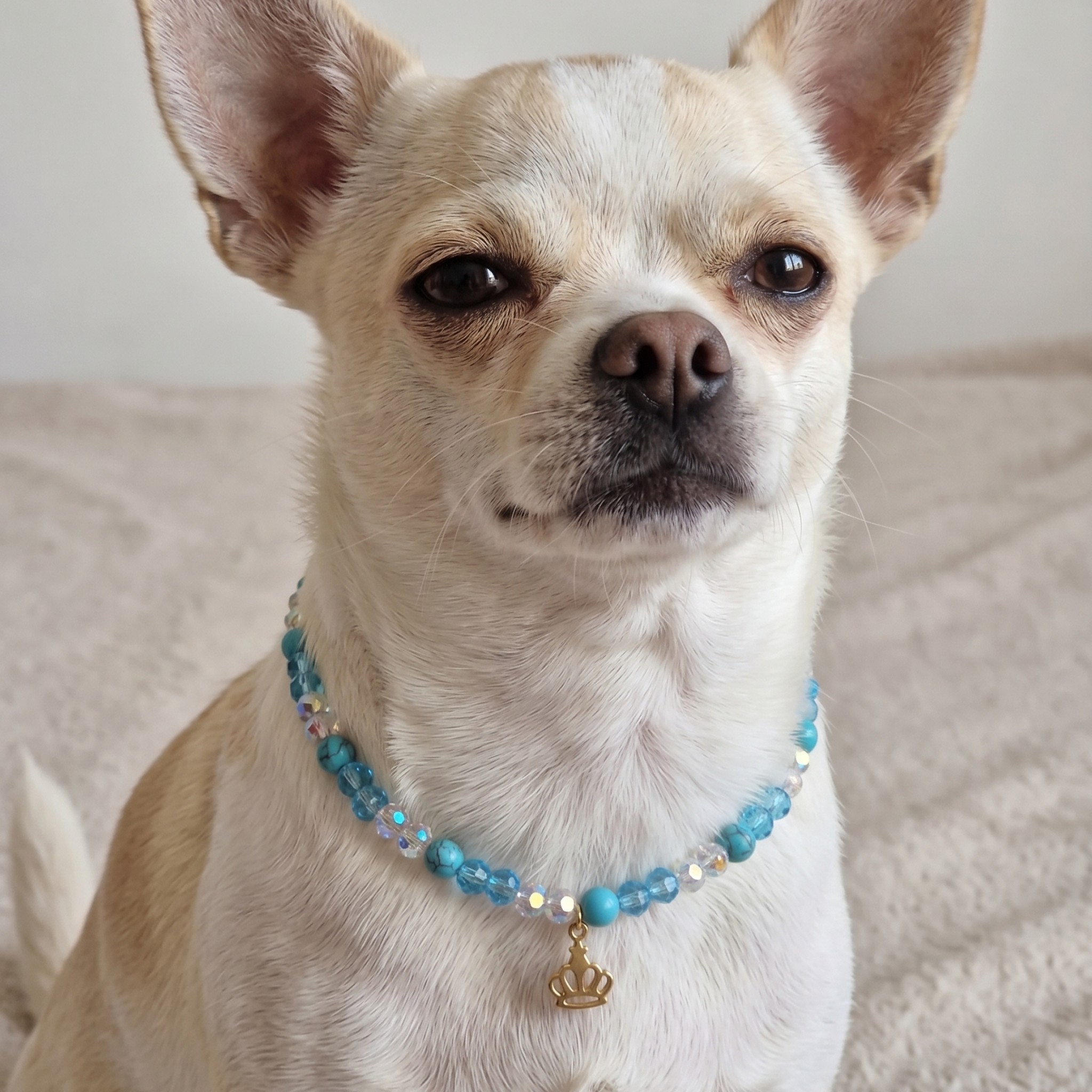 Collana per Cani "Royal Azure" con Pietre Naturali e Ciondolo Corona